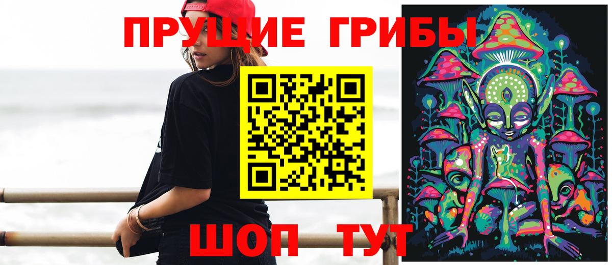 Псилоцибиновые грибы MAGIC MUSHROOMS  Вход с VPN  Казань 