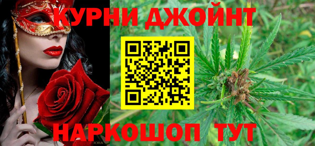 Марихуана ГИДРОПОН  Каннабис планчик  Казань  Вход с VPN  Канабис OG Kush 